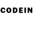 Псилоцибиновые грибы GOLDEN TEACHER GoodGood Company