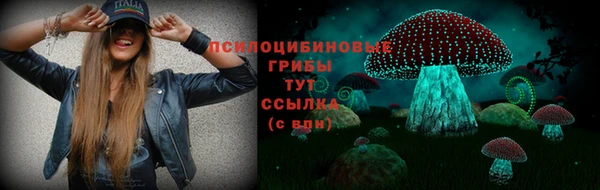твердый Аркадак
