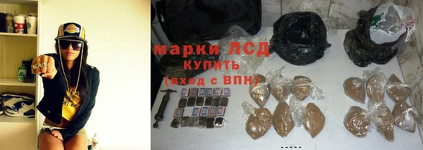 стаф Арсеньев