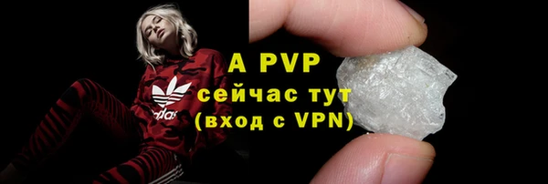 стаф Арсеньев