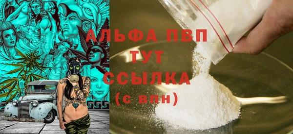 стаф Арсеньев