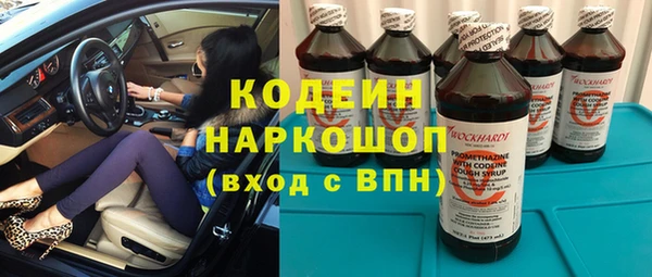 стаф Арсеньев